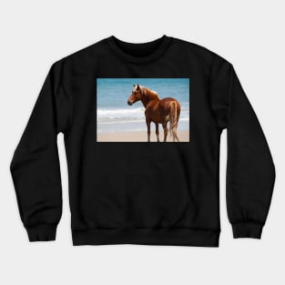 Wild Mustang Crewneck Sweatshirt